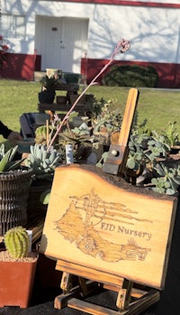 a wooden easel with cactus and succulents on it